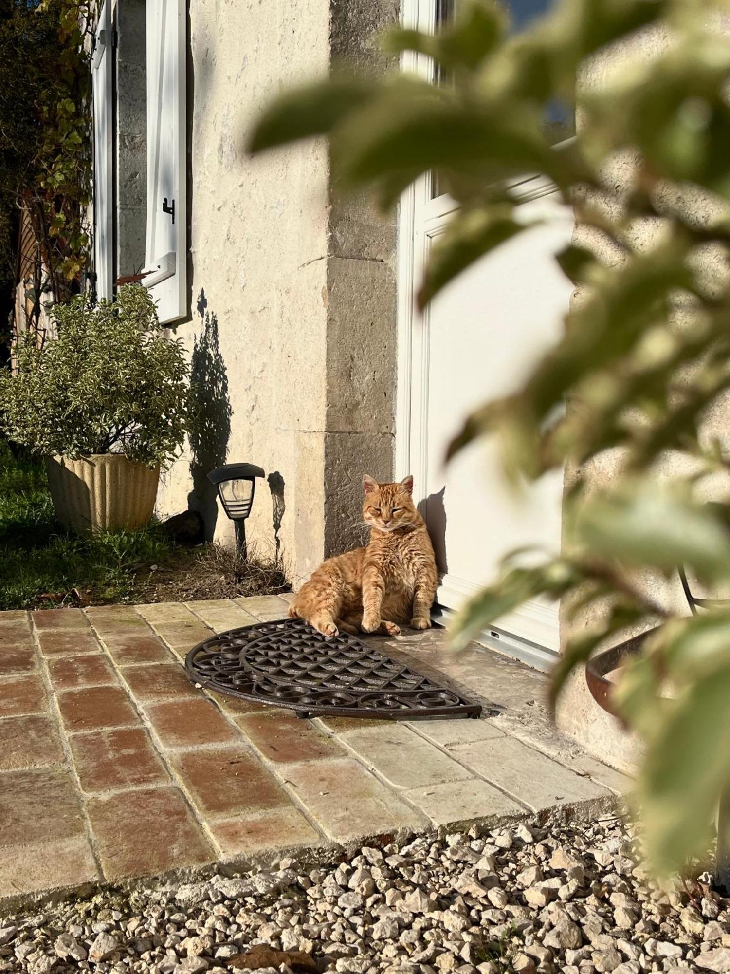 Maison Moz Fontaines-en-Sologne Eksteriør billede